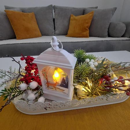 Bankovic Apartman Vrnjačka Banja Kültér fotó