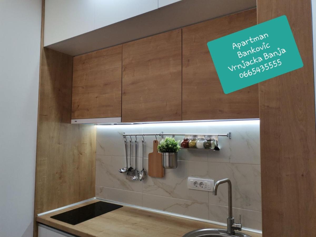 Bankovic Apartman Vrnjačka Banja Kültér fotó