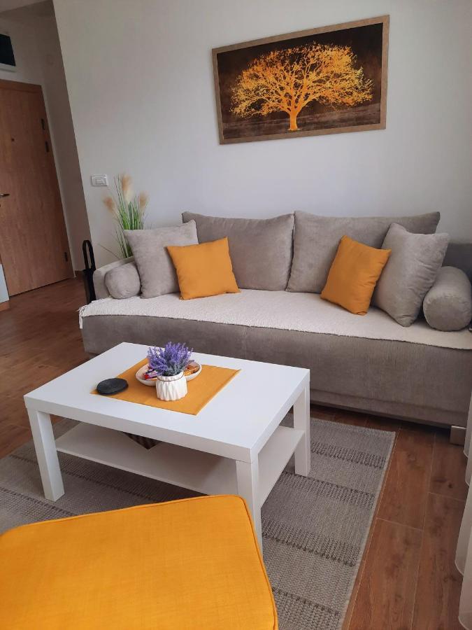 Bankovic Apartman Vrnjačka Banja Kültér fotó