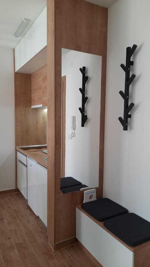 Bankovic Apartman Vrnjačka Banja Kültér fotó