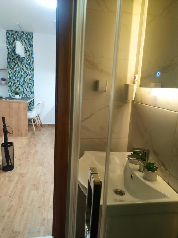 Bankovic Apartman Vrnjačka Banja Kültér fotó